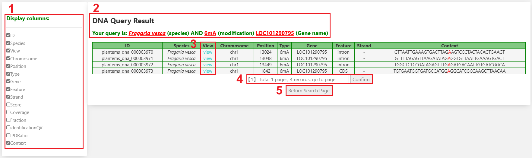Download page screenshot
